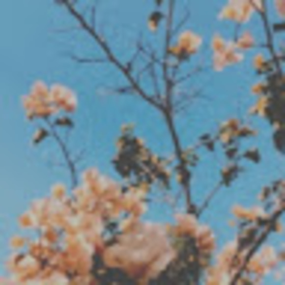 Meet your Posher, Margaret - Picture 1 of 1